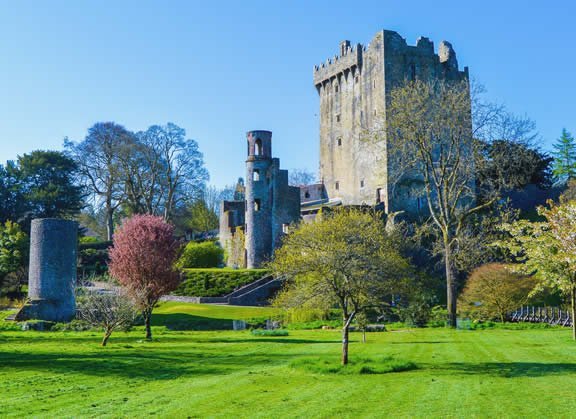 Blarney New 1