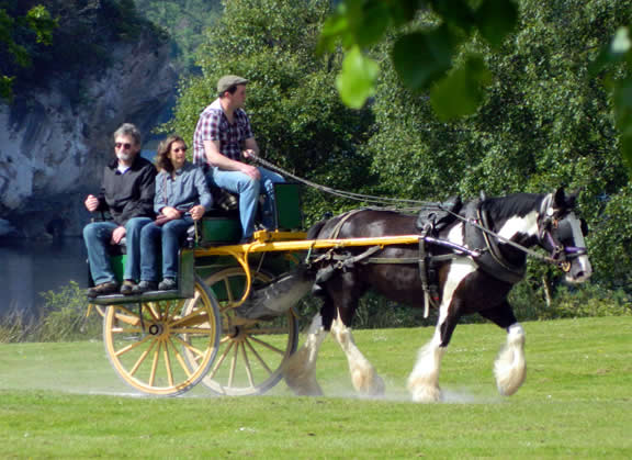 Jaunting Cars Muckross and Kate Kearneys