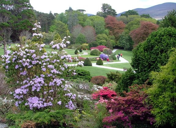 Muckross Gardens