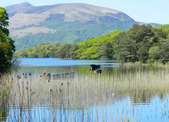 Muckross Killarney National Park County Kerry Ireland