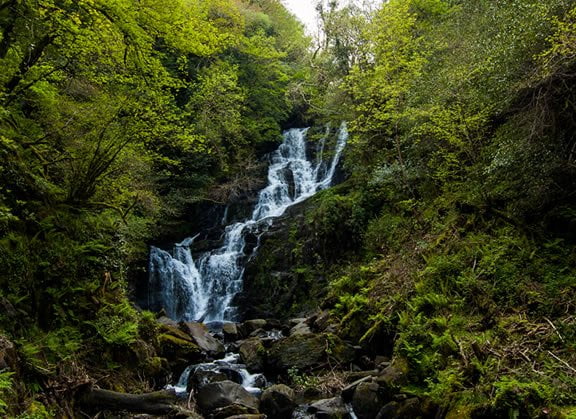 Torq Waterfall